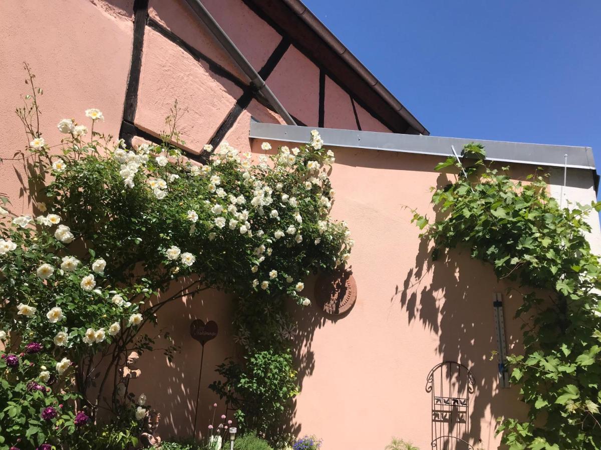 Haus Am Markt Königstein in der Oberpfalz Екстериор снимка